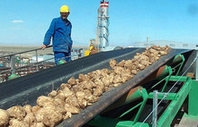 Fabrikalardan sonra sıra arazilere geldi!