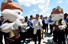 Gökçek’in 3 milyonluk kedisi