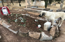 Bekir Coşkun'un duygulandıran ziyaretçisi...