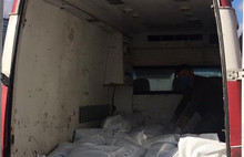 Mansur Yavaş İzmir'deki kedi ve köpekleri de unutmadı