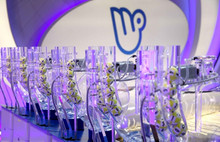 Milli Piyango yılbaşı büyük ikramiyesi belli oldu!