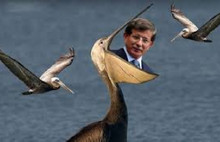 Pelikan Meclis gündeminde