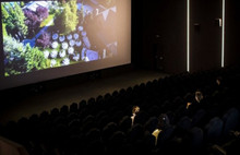 Sinema salonlarına 15 milyonluk destek