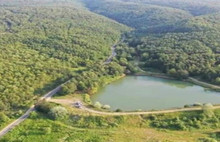 Ünlü Tokat yaprağı da tehlikede:Siyanürlü altın madeni giriyor