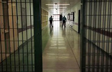 Cezaevlerinde verilen yemeklerden böcek çıkıyor!