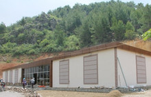 AKP’li Başkan Karaçam ormanını katletti