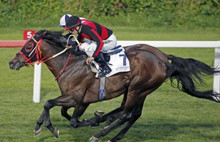 Kim bu ganyancılar!