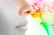 Bilim Kurulu üyesinden hayalet taşıyıcı uyarısı