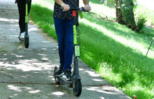 Martı'ya düzenleme geliyor