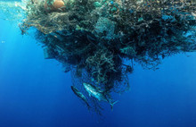 Yeni ölümcül salgınlar kapıda ...