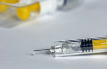 Milli aşı babayiğitleri aranıyor