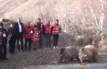 Kızılay skandalında ikinci perde: O etleri ayılara yedirmişler!