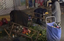 Derinleşen Yoksulluk: Yurttaşlar Pazar Artıkları Peşinde