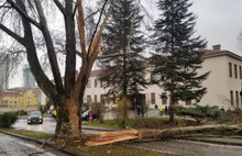 Meclis Bahçesine Yıldırım Düştü