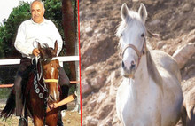 Kayıp Atlarla İlgili Şok Gelişme
