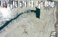 Prof. Saydam’dan müsilaj değerlendirmesi: Bunlar daha iyi günler