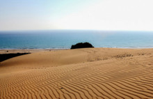 Patara'dan Kum Çalanları Yakalayan Memur Görevden Alındı