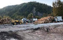 Eski Kaymakam :Tomruk Deposu için Tepki Aldım