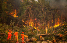6 ilde, 11 yangın sürüyor