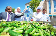 Üniversite öğrencileri ve Akademisyenler 1,5 Tonluk turşu kurdu