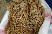 Saleoin  kilosu 3 bin liradan satılıyor