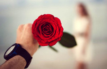 14 Şubat'ta Sevgiliye Tek Bir Gül 60 TL