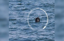 İğneada açıklarında mayın tespit edildi