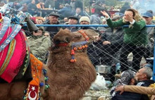 Bodrum'da İnsanları Dolandıran Süperstar Alev Tutuklandı