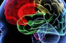 ABD’de insan beynine çip yerleştirildi