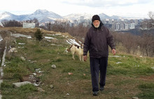 Kira Artışı Sahipsiz Kopekleri de Vurdu