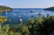 Heybeliada'da doğa katliamı: Ağaçları kesip aquapark yaptılar