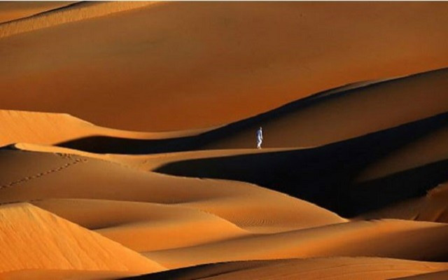 Arabistan bir zamanlar ormandı