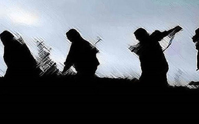 Silvan'da polise saldırı: 1 yaralı