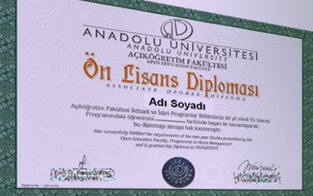 Bir milyon diplomaya soruşturma