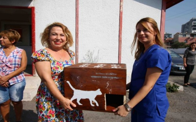 Eski seçim sandıkları kedi evi oldu