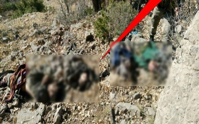 TSK fotoğrafları yayınladı! Öldürüldüler