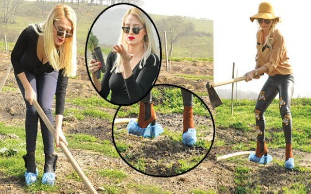 Polise hakaret eden Cicişlere fidan dikme cezası