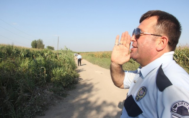 Polis mısır tarlasında yaralı aradı