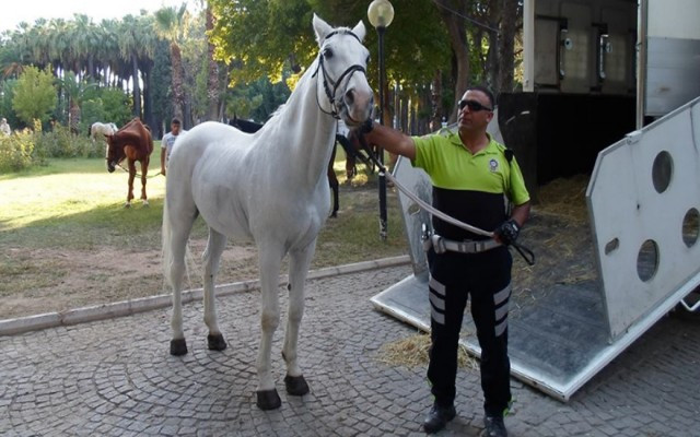 Türkiye, kahraman polis Fethi Sekin’e ağlıyor