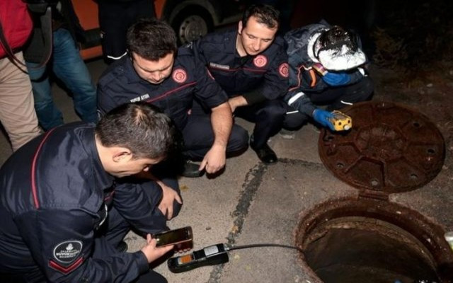 O kokunun nedeni ortaya çıktı