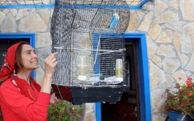 Podyumların yıldızıydı şimdi koyun otlatıyor