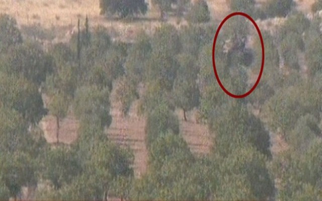 TSK Kuzey Irak'ı bugün yine vurdu