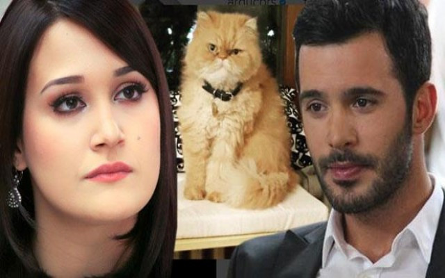 Ünlü çifti üzen olay