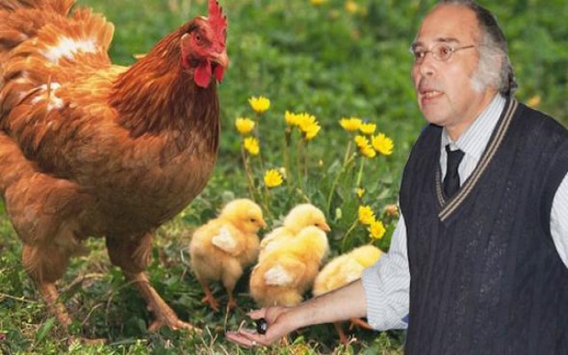 Profesörden şok tavuk eti uyarısı