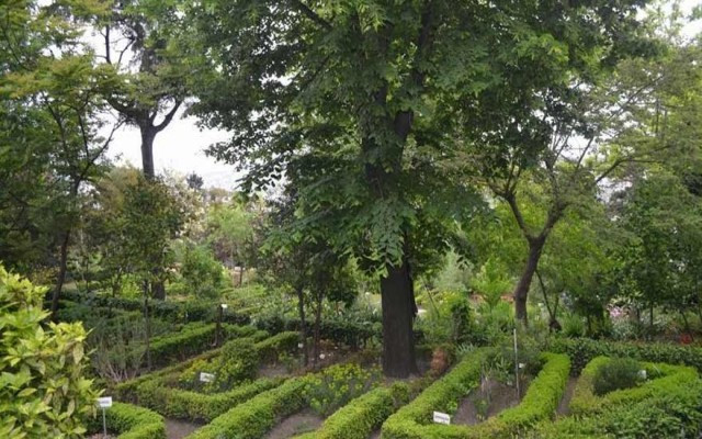 Atatürk’ün botanik bahçesi Diyanet’e verildi