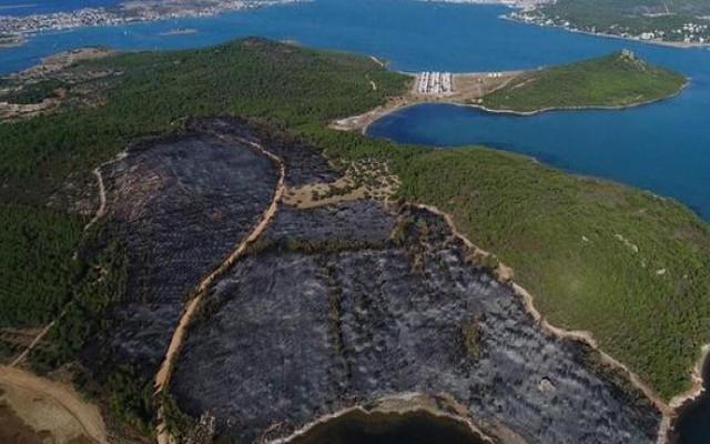 Cennet koydaki yangında büyük şüphe