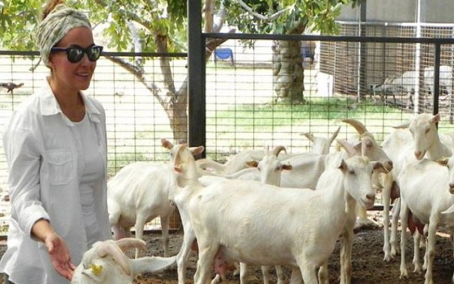 İstanbullu mimar keçi çiftliğiyle markalaştı