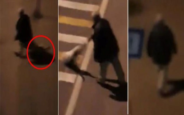 Giresun’da insanlık dışı olay