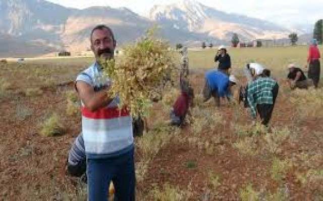 Tunceli'ye Komünist başkan adayı