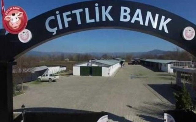 Çiftlik Bank gibi 11 girişim daha var